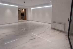 مدیریت طراحی و انجام عملیات اجرایی پروژه لادن